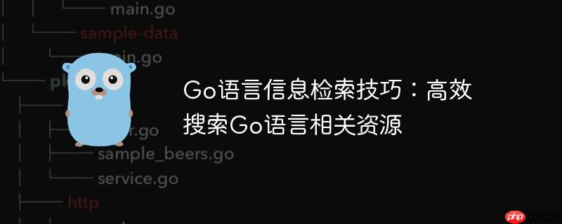Go语言信息检索技巧：高效搜索Go语言相关资源