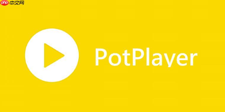 PotPlayer如何旋转视频 PotPlayer画面方向调整指南