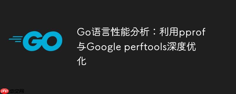 Go语言性能分析：利用pprof与Google perftools深度优化