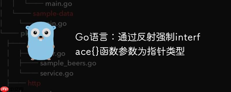 Go语言：通过反射强制interface{}函数参数为指针类型