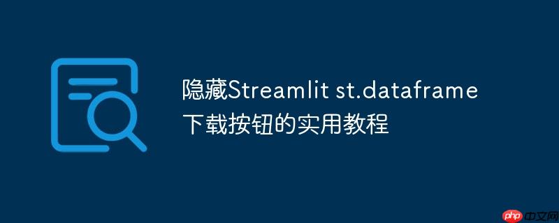 隐藏Streamlit st.dataframe下载按钮的实用教程