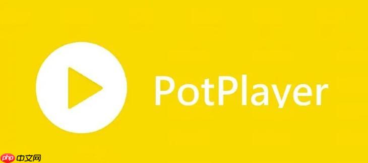 PotPlayer如何播放蓝光 PotPlayer原盘文件播放教程