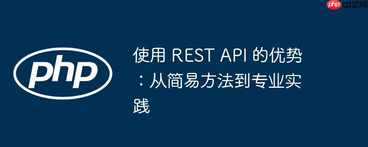 使用 REST API 的优势：从简易方法到专业实践