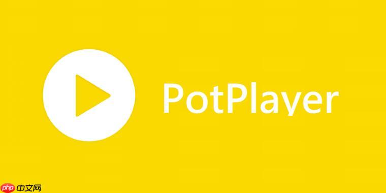 PotPlayer怎么设置皮肤 PotPlayer界面美化自定义教程