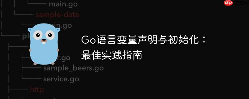 Go语言变量声明与初始化：最佳实践指南