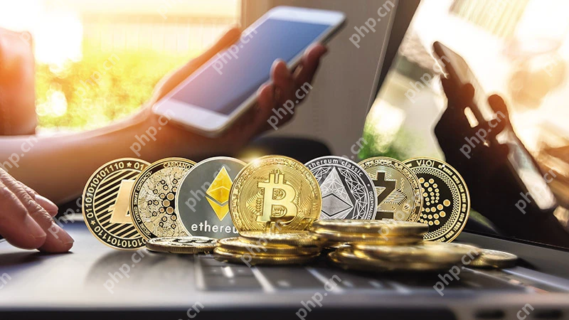 币圈黑话大全：新手必懂的20个术语 - 创想鸟