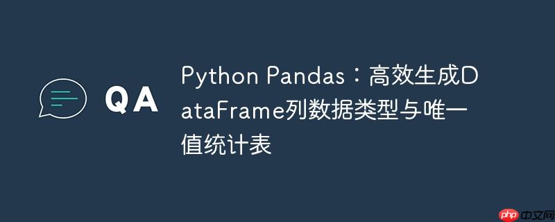 python pandas：高效生成dataframe列数据类型与唯一值统计表