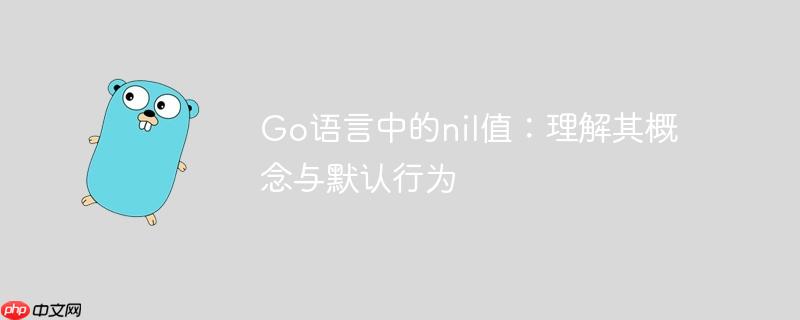 Go语言中的nil值：理解其概念与默认行为