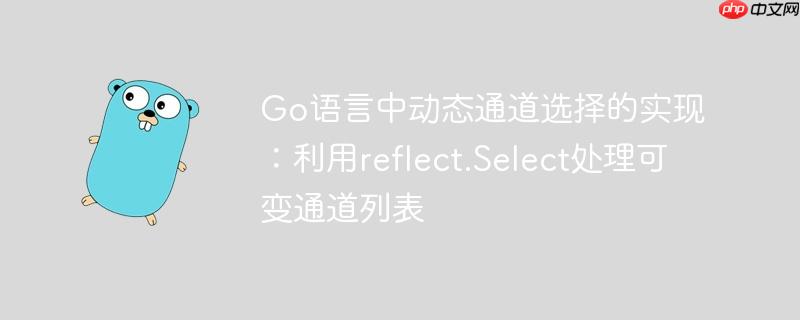 Go语言中动态通道选择的实现：利用reflect.Select处理可变通道列表