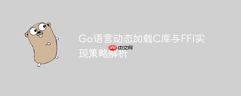 Go语言动态加载C库与FFI实现策略解析
