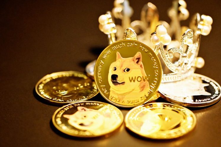 DOGE币价能涨多高？2025年狗狗币达到0.5美元的概率有多大？ - 创想鸟