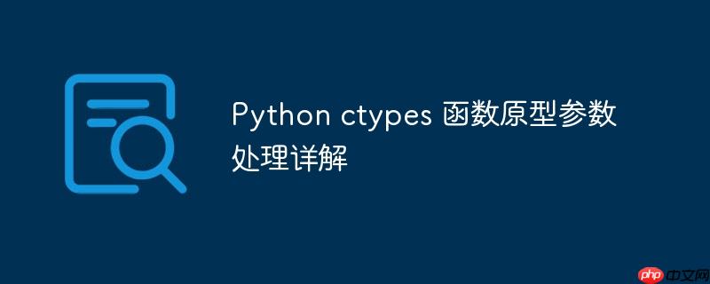 Python ctypes 函数原型参数处理详解
