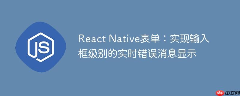 React Native表单:实现输入框级别的实时错误消息显示