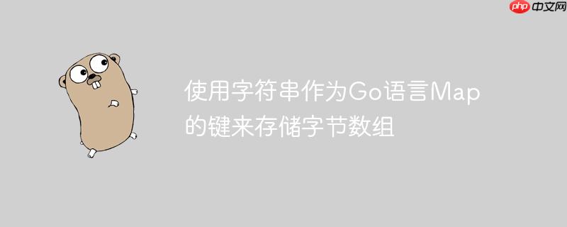 使用字符串作为Go语言Map的键来存储字节数组
