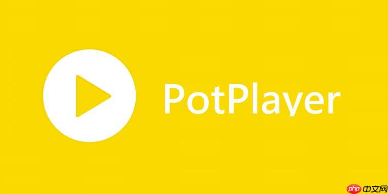 PotPlayer如何加载在线字幕 PotPlayer自动匹配字幕教程