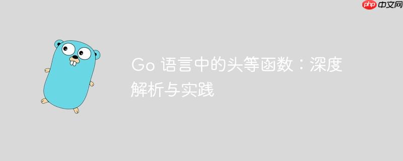 Go 语言中的头等函数：深度解析与实践