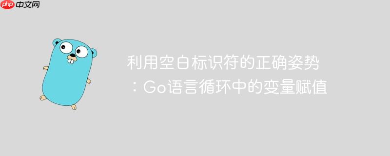 利用空白标识符的正确姿势：Go语言循环中的变量赋值