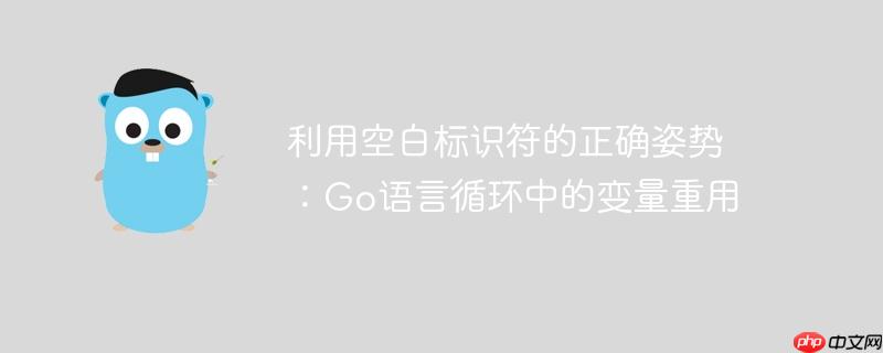 利用空白标识符的正确姿势：Go语言循环中的变量重用