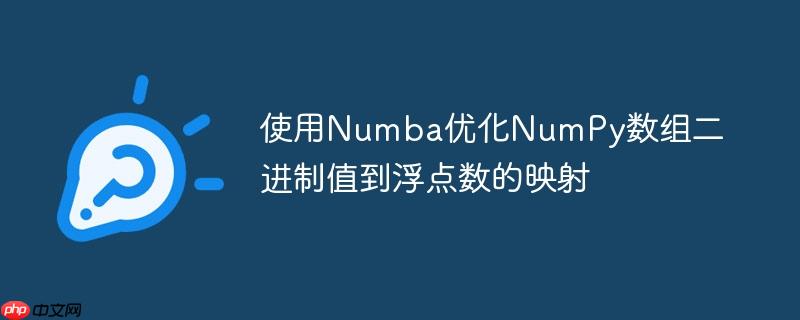 使用Numba优化NumPy数组二进制值到浮点数的映射