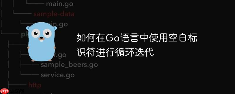 如何在Go语言中使用空白标识符进行循环迭代