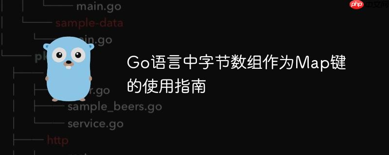 Go语言中字节数组作为Map键的使用指南