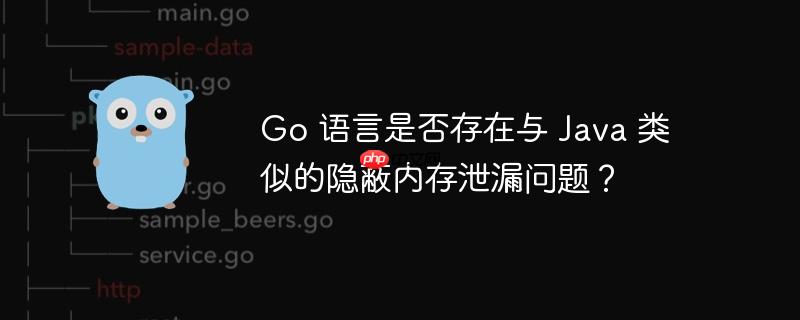 Go 语言是否存在与 Java 类似的隐蔽内存泄漏问题？