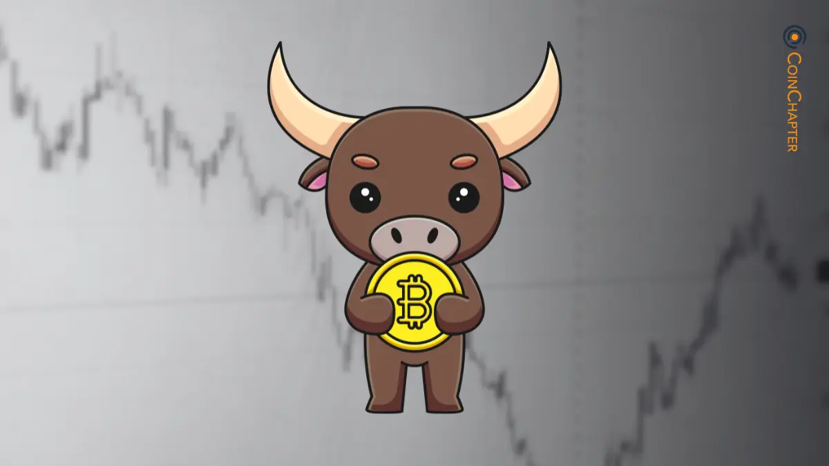 比特币、动能与大重置：下一步是什么？