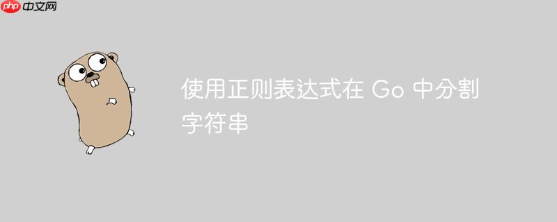 使用正则表达式在 Go 中分割字符串