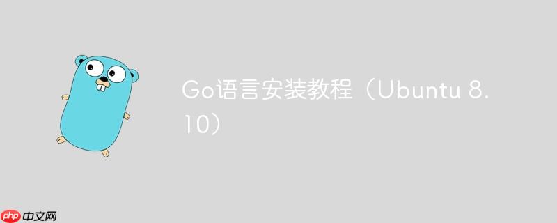 Go语言安装教程（Ubuntu 8.10）