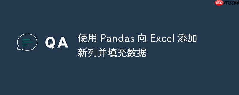 使用 pandas 向 excel 添加新列并填充数据