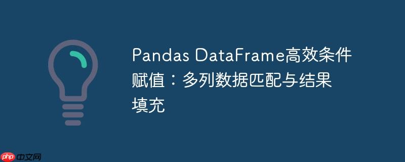 Pandas DataFrame高效条件赋值：多列数据匹配与结果填充