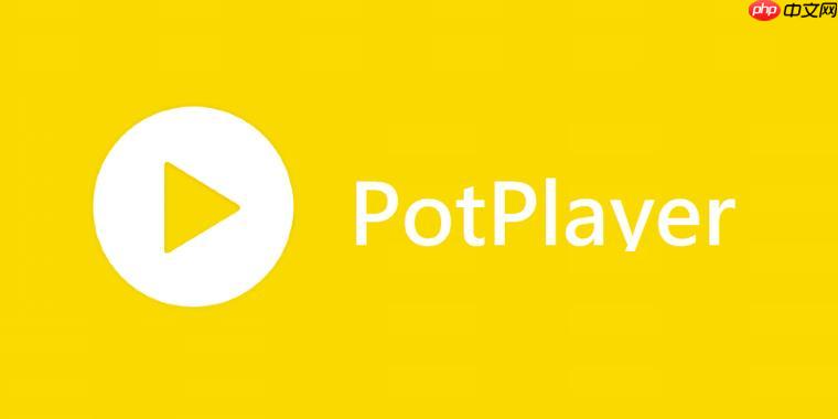 PotPlayer播放器如何设置记忆播放 PotPlayer续播功能开启教程
