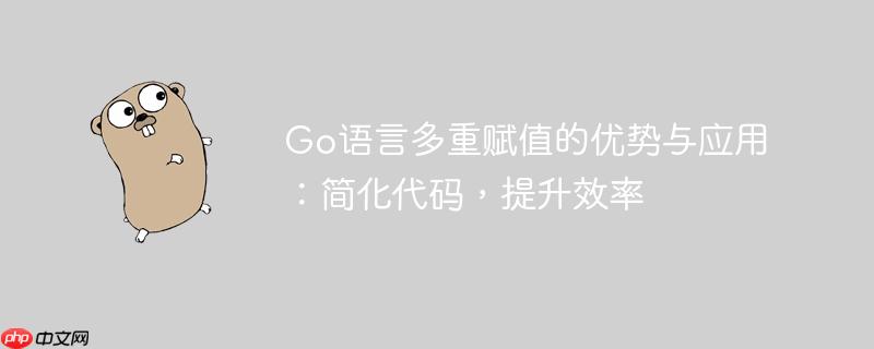 Go语言多重赋值的优势与应用：简化代码，提升效率