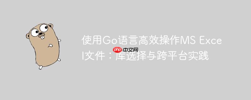 使用Go语言高效操作MS Excel文件：库选择与跨平台实践