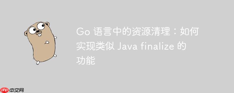 Go 语言中的资源清理：如何实现类似 Java finalize 的功能