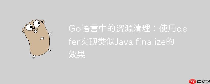Go语言中的资源清理：使用defer实现类似Java finalize的效果