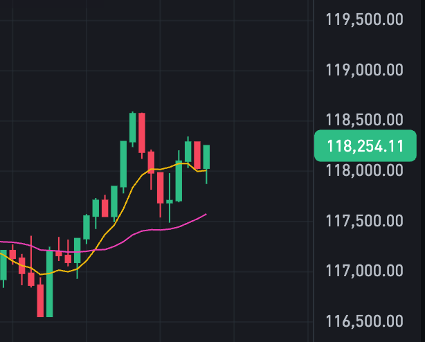 比特币走势图实时行情app 比特币行情实时走势图k线 - 创想鸟