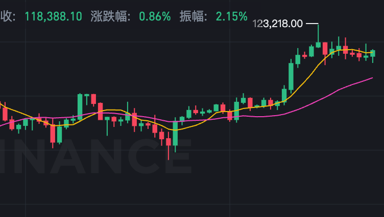 比特币价格12万美元再创历史新高，比特币10年后会值多少钱? - 创想鸟