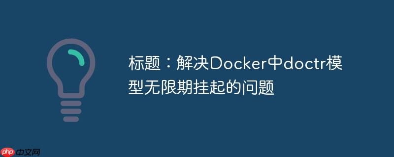 标题：解决docker中doctr模型无限期挂起的问题