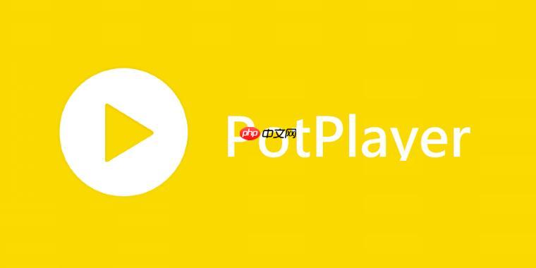 PotPlayer怎么去除水印 PotPlayer实时滤镜处理方案