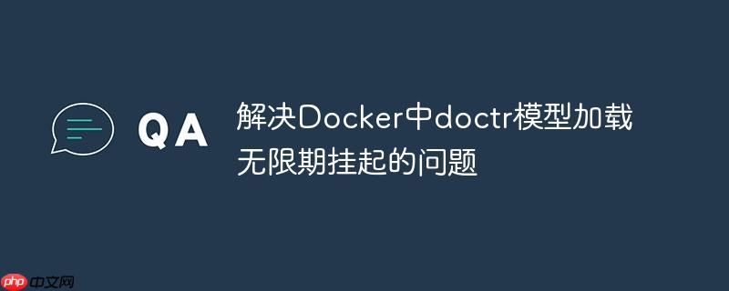 解决docker中doctr模型加载无限期挂起的问题