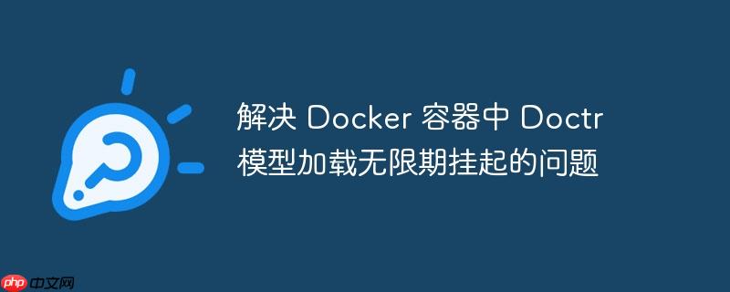 解决 docker 容器中 doctr 模型加载无限期挂起的问题