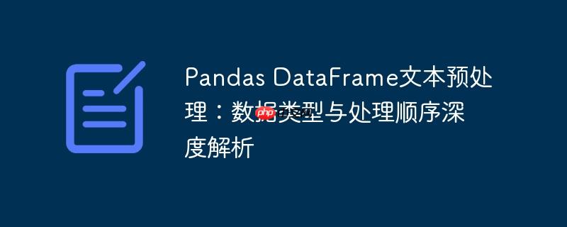 pandas dataframe文本预处理：数据类型与处理顺序深度解析