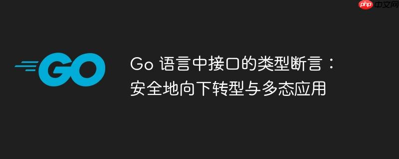 Go 语言中接口的类型断言：安全地向下转型与多态应用