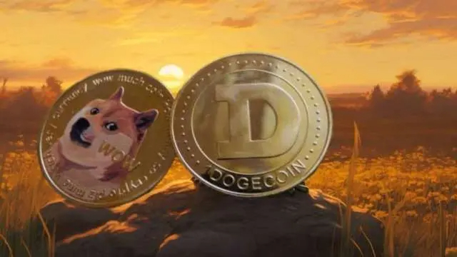 新手如何购买狗狗币参与生态 有哪些官方推荐的DogeOS入口 - 创想鸟