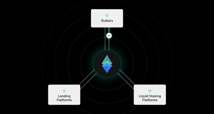 什么是Treehouse(TREE币)?如何运作?Treehouse团队背景,代币经济与未来前景分析