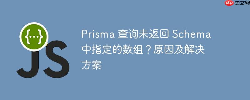 Prisma 查询未返回 Schema 中指定的数组？原因及解决方案