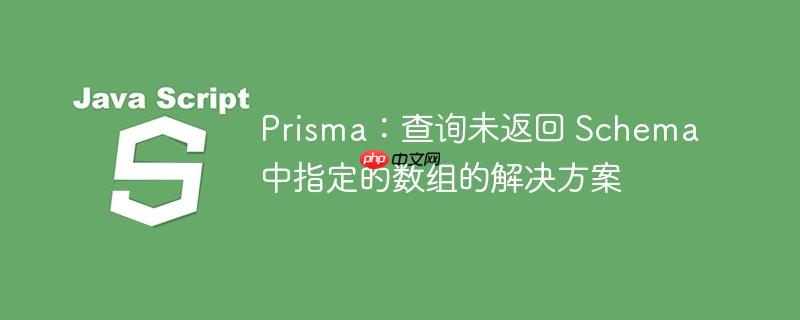Prisma：查询未返回 Schema 中指定的数组的解决方案