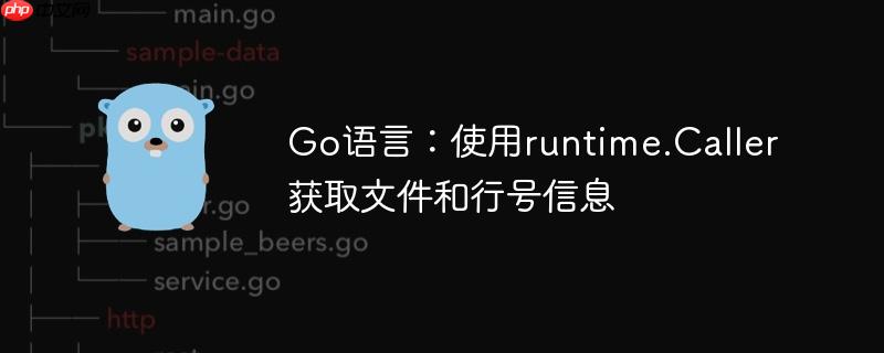 Go语言：使用runtime.Caller获取文件和行号信息