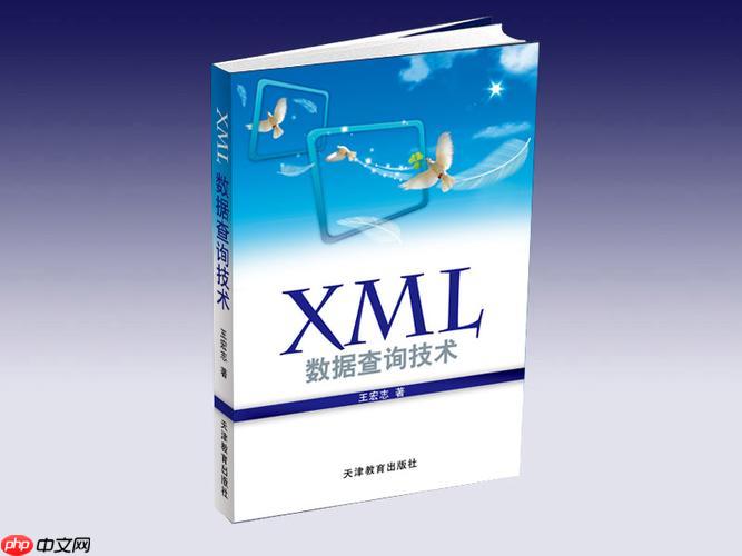 如何使用Python的lxml库高效解析大型XML文件？